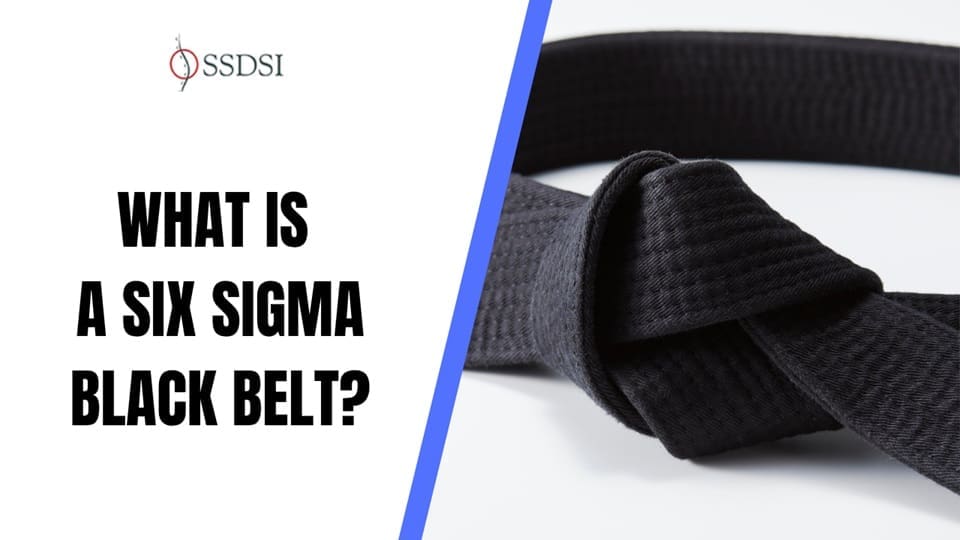 What is a Six Sigma Black Belt?