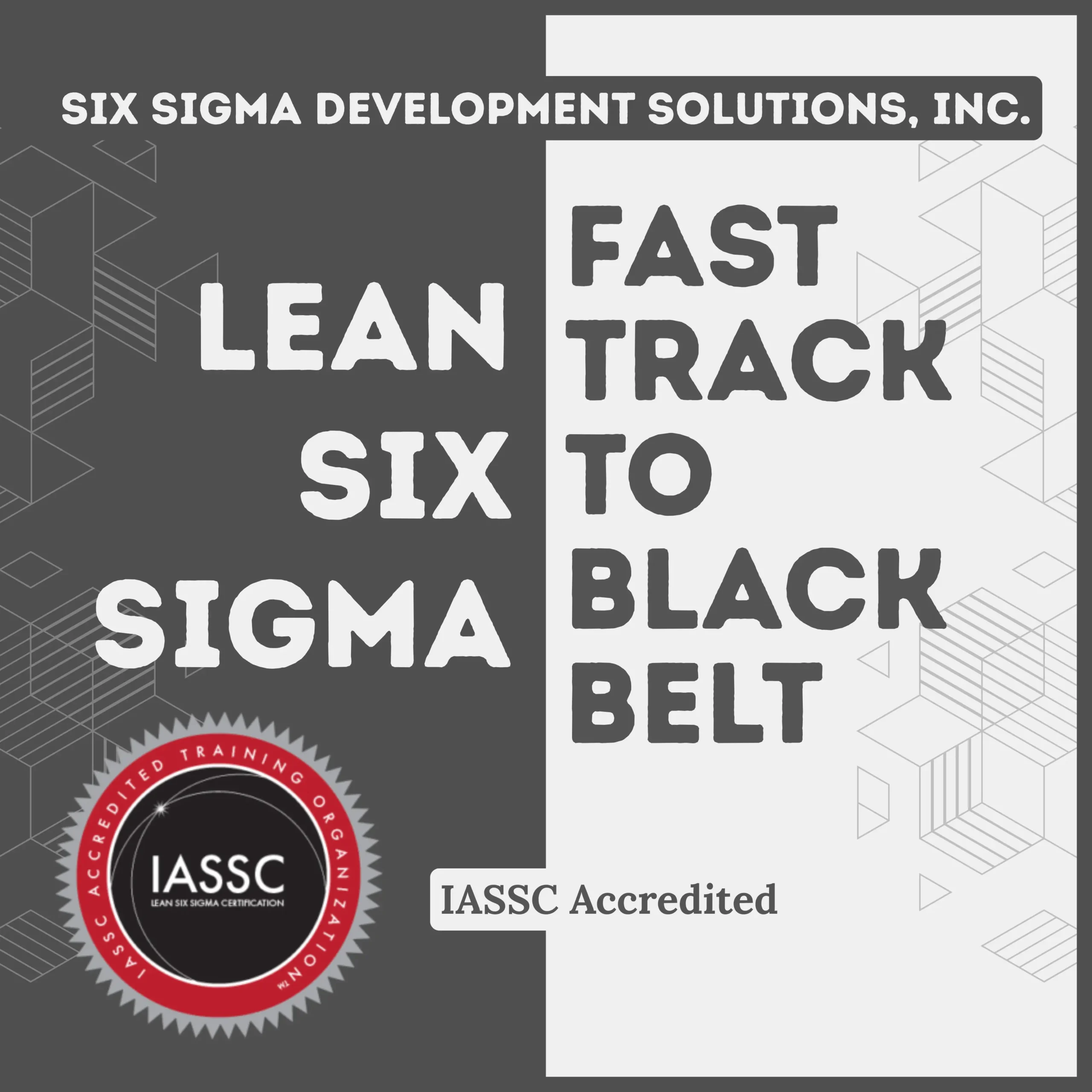 Fast Track to Black Belt brochure cover