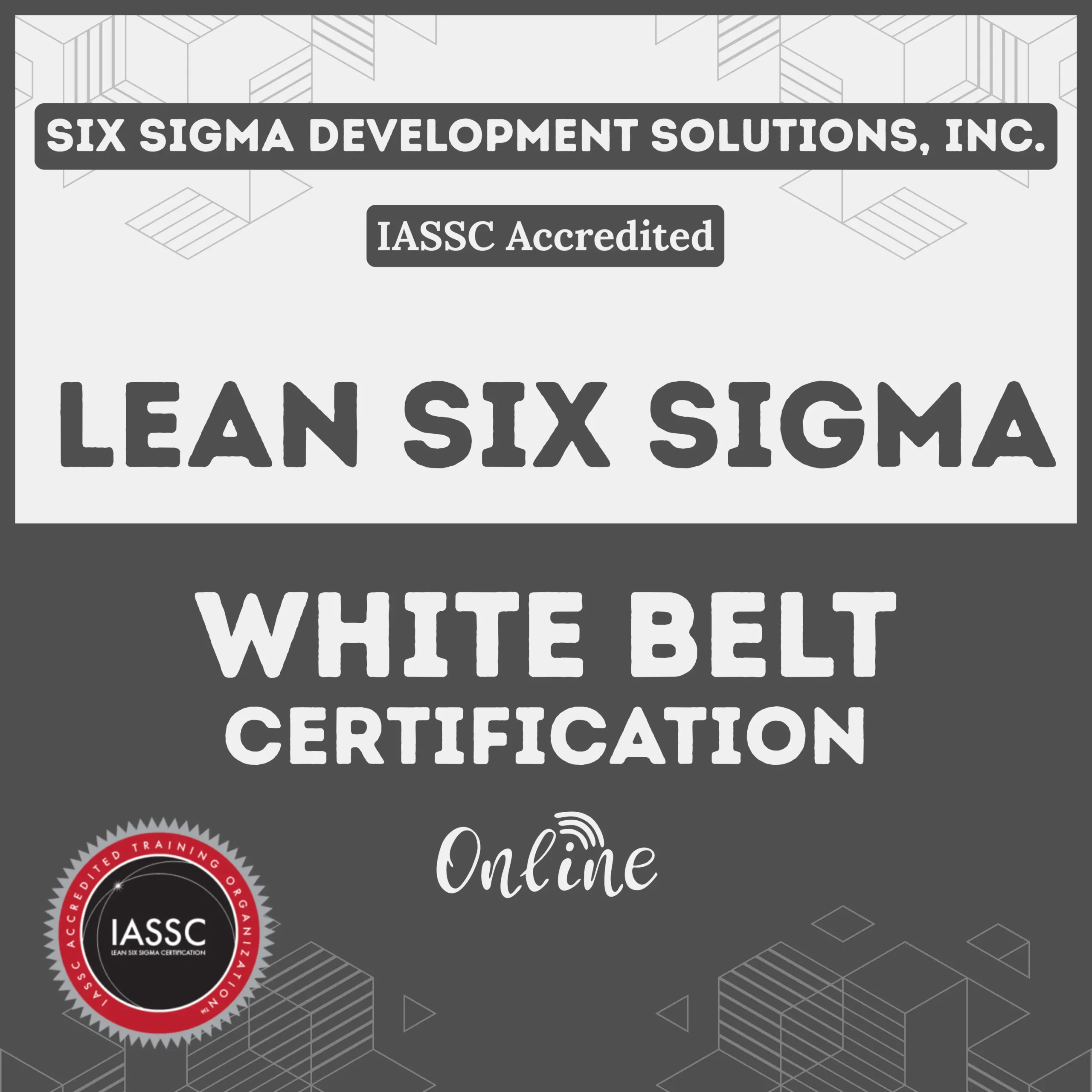 White Belt Training brochure cover