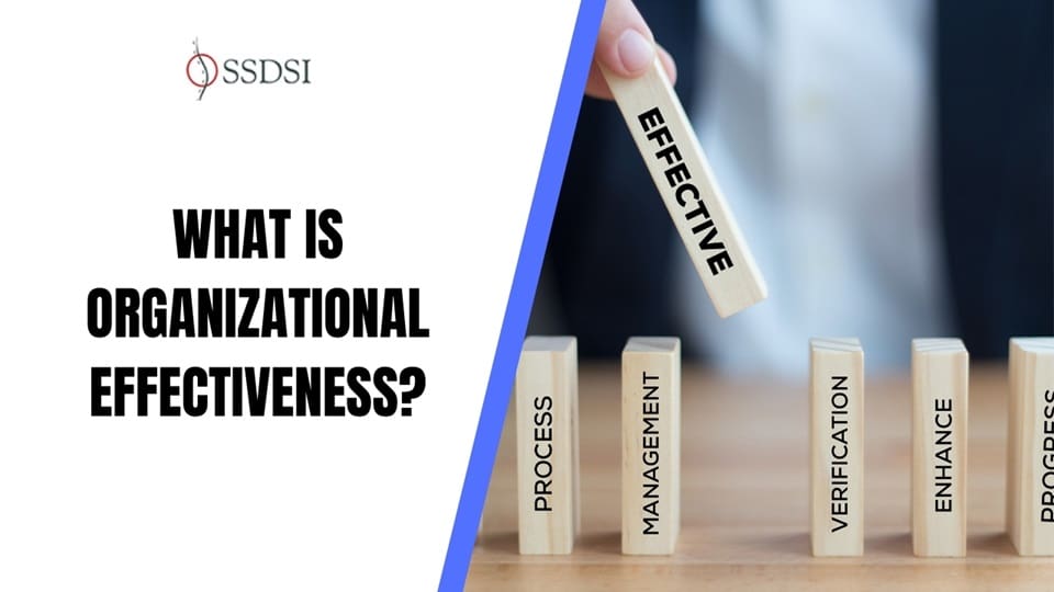 What is Organizational Effectiveness? For Business Performance