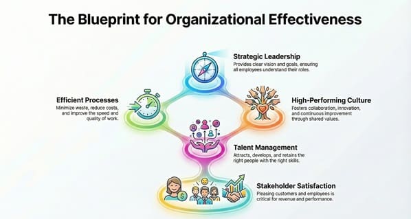 What is Organizational Effectiveness? For Business Performance